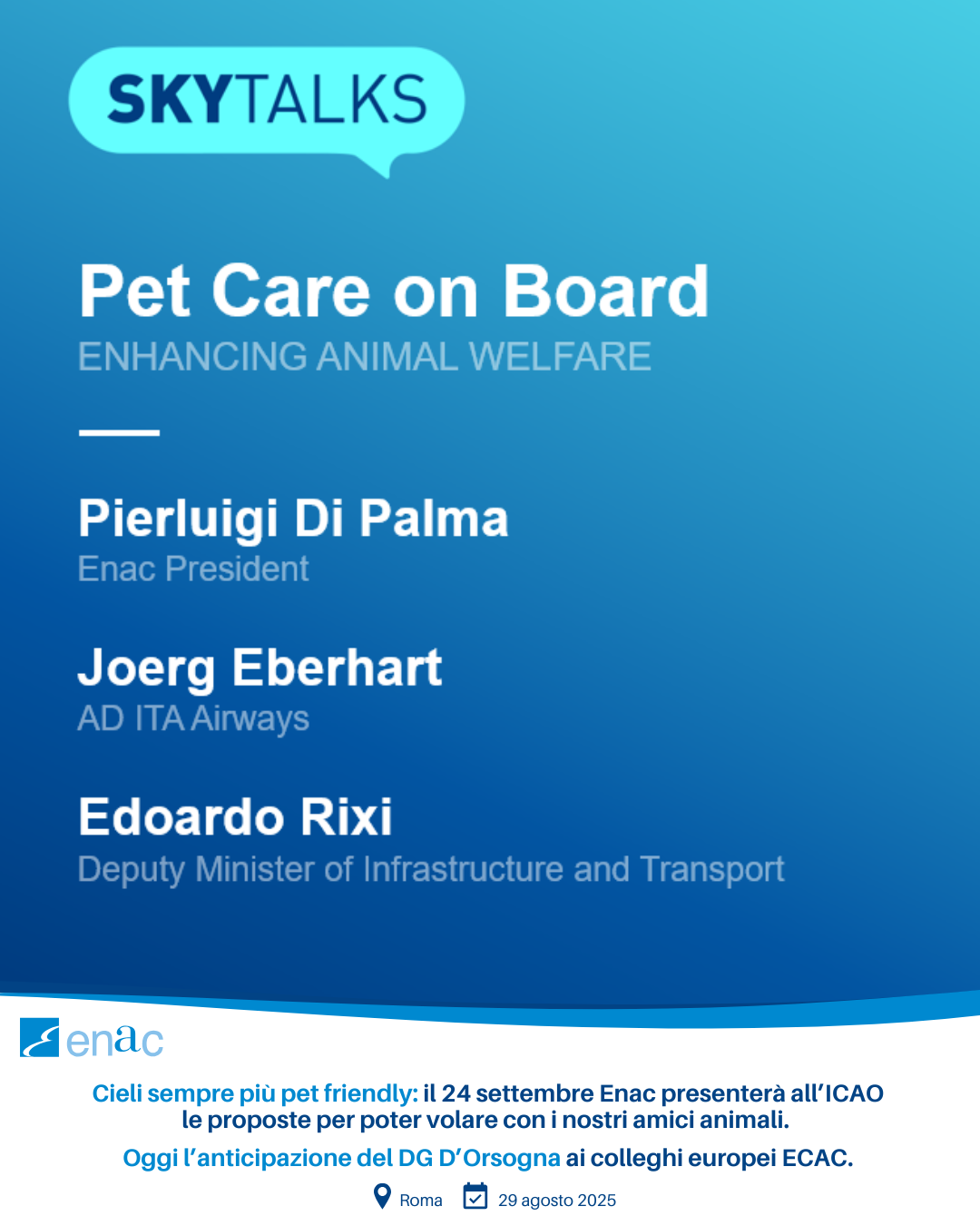 Riunione ICAO