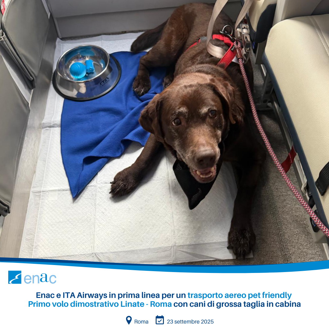 trasporto aereo pet friendly