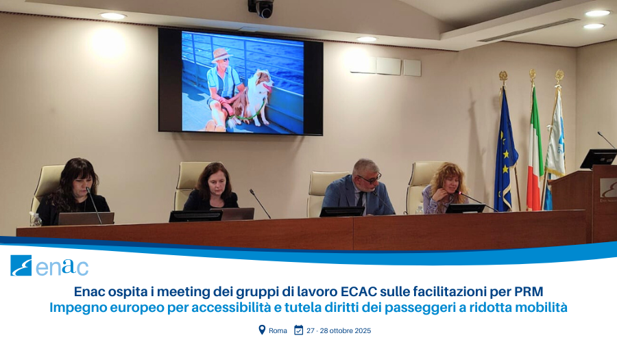 meeting periodici dei gruppi di lavoro ECAC