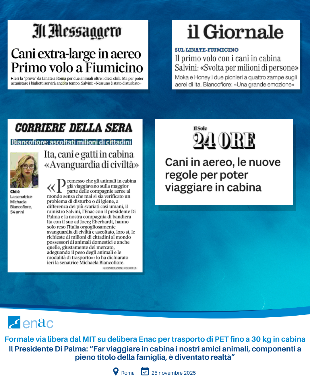 Collage Articoli PET in cabina