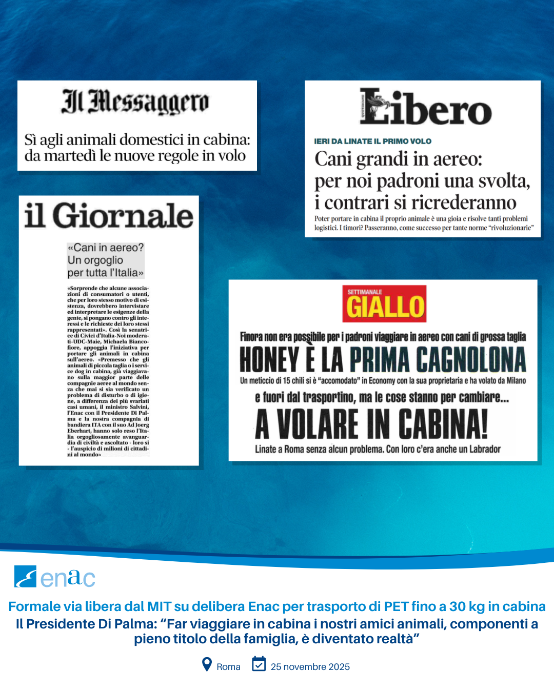 Collage Articoli PET in cabina