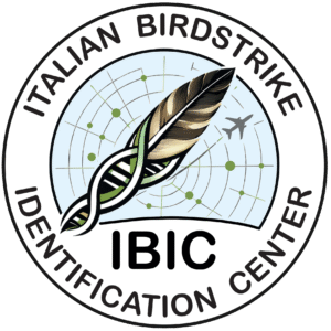 IBIC - Italian Birdstrike Identification Center